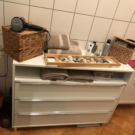 Gemuetliche Zentrale In Lejlighed Zwickau