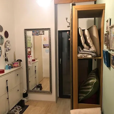 Gemuetliche Zentrale In * 茨维考